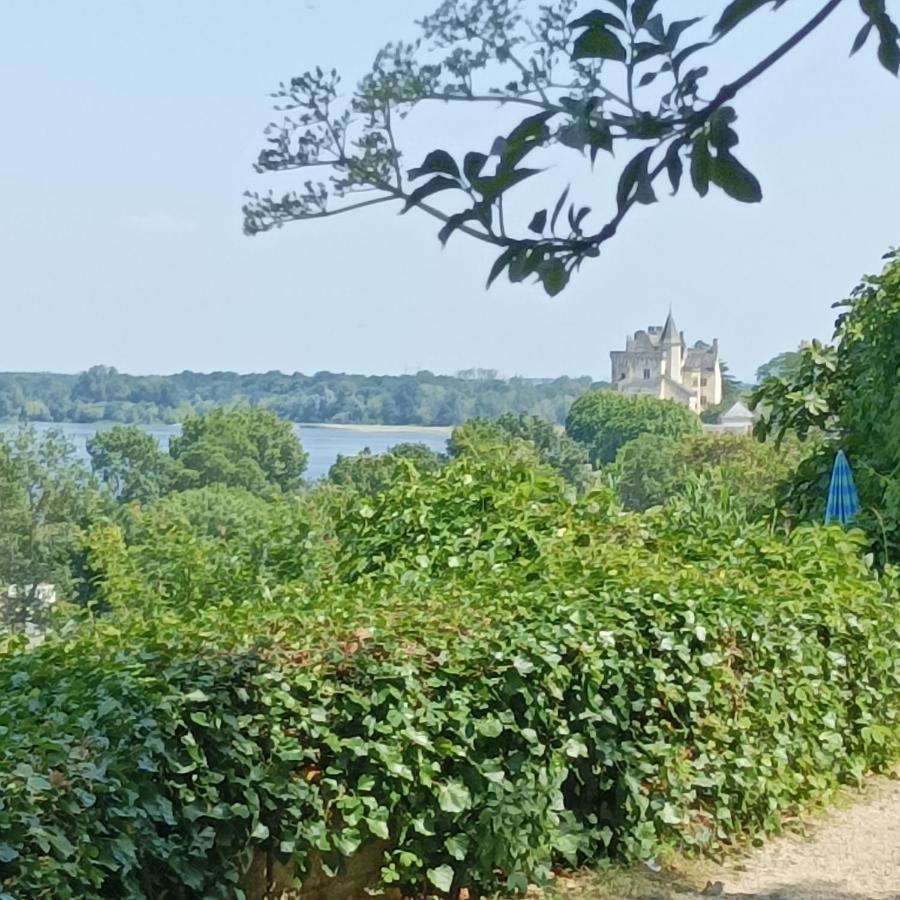 Gite Des Perreyeurs - Maison Troglodyte Avec Vue Sur Loire Монтзоро Экстерьер фото